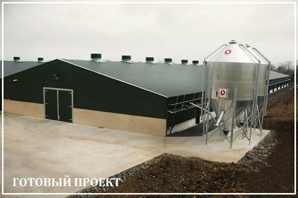 Этапы возведения птицефабрики от завода ВелесТент-фрв